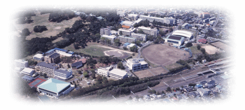 写真：学校