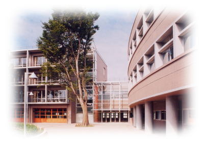 写真：学校